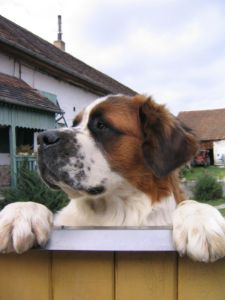 foto-digi-i.-036